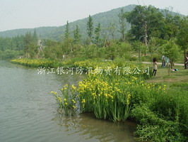 ʵ���̻�Ч��