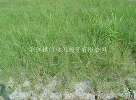 ʵ���̻�Ч��