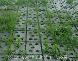 ʵ���̻�Ч��