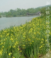 ʵ���̻�Ч��