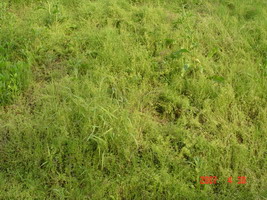 ʵ���̻�Ч��