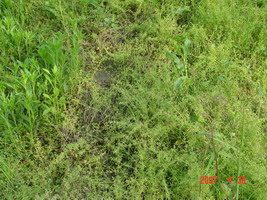 ʵ���̻�Ч��