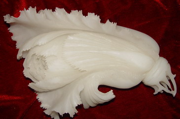 �������ͼ