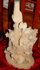 �������ͼ