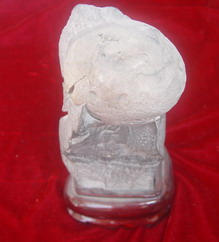 �������ͼ