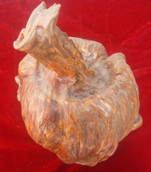 �������ͼ