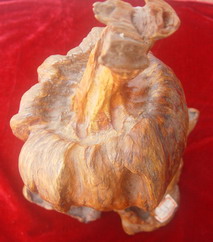 �������ͼ