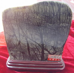 �������ͼ